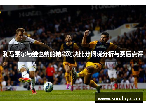 利马索尔与维也纳的精彩对决比分揭晓分析与赛后点评