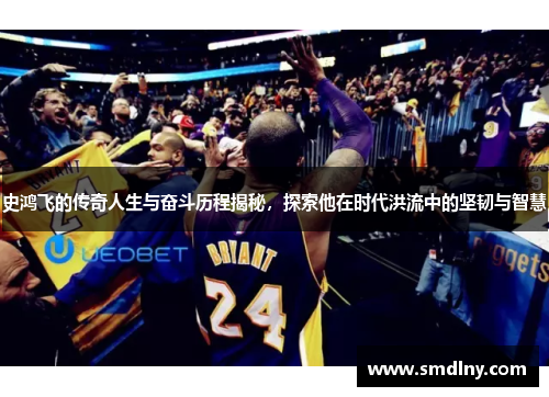 史鸿飞的传奇人生与奋斗历程揭秘，探索他在时代洪流中的坚韧与智慧