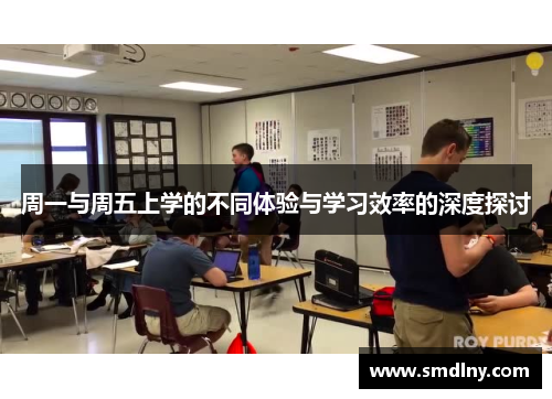 周一与周五上学的不同体验与学习效率的深度探讨