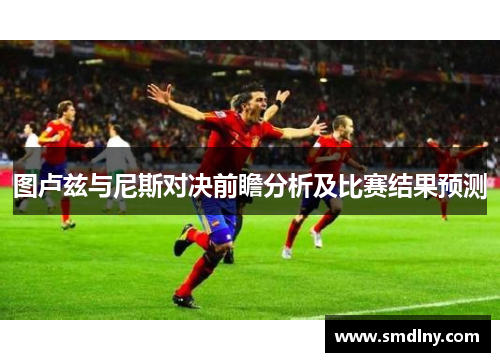 图卢兹与尼斯对决前瞻分析及比赛结果预测