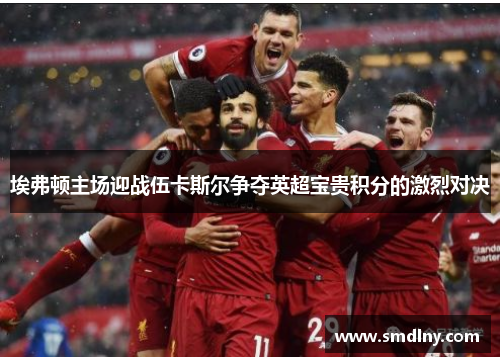 埃弗顿主场迎战伍卡斯尔争夺英超宝贵积分的激烈对决