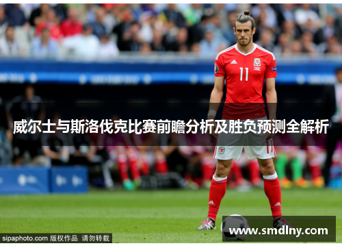 威尔士与斯洛伐克比赛前瞻分析及胜负预测全解析