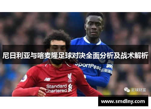 尼日利亚与喀麦隆足球对决全面分析及战术解析