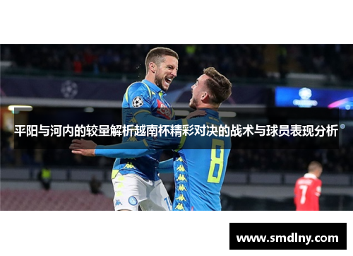 平阳与河内的较量解析越南杯精彩对决的战术与球员表现分析