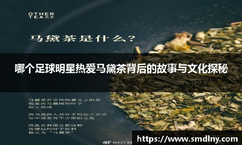 哪个足球明星热爱马黛茶背后的故事与文化探秘
